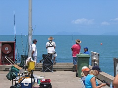 CairnsTC082 Palm Cove